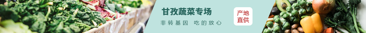 投影仪
